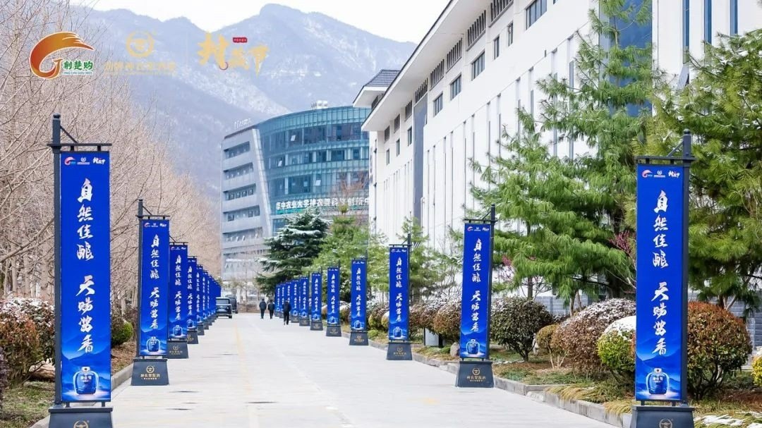 1745288521231941.jpg 劲牌神农架酒业第四届封藏文化节(2025)活动现场图01